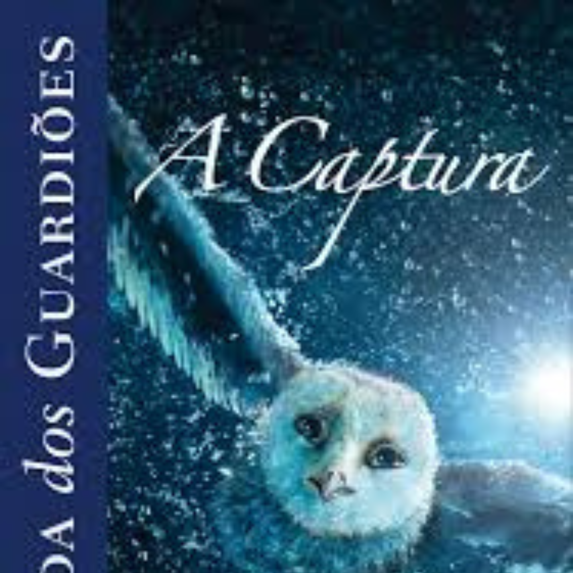 Imagem Livro A Captura